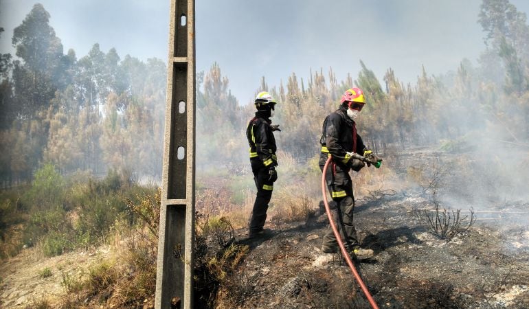 Los bomberos de Madrid realizan las labores de extinción