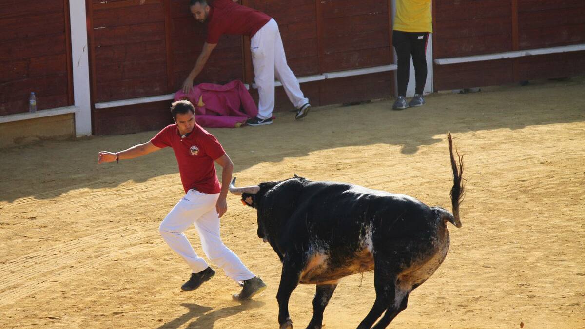 Yolanda Morales, portavoz de PACMA, reclama la suspensión del toro al cajón de Parla