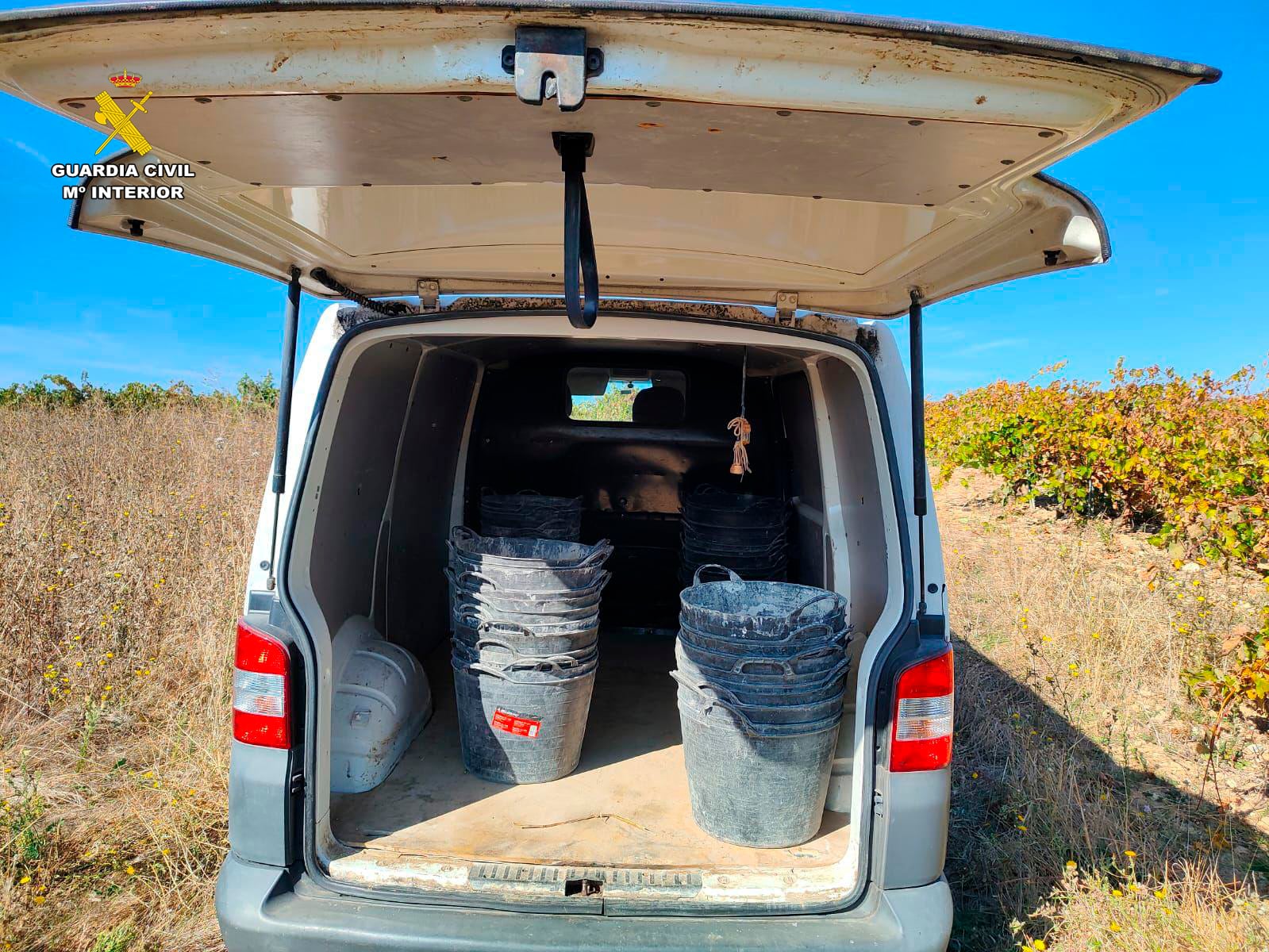 Investigadas cuatro personas por robar 500 kilos de uva en una finca de Briones