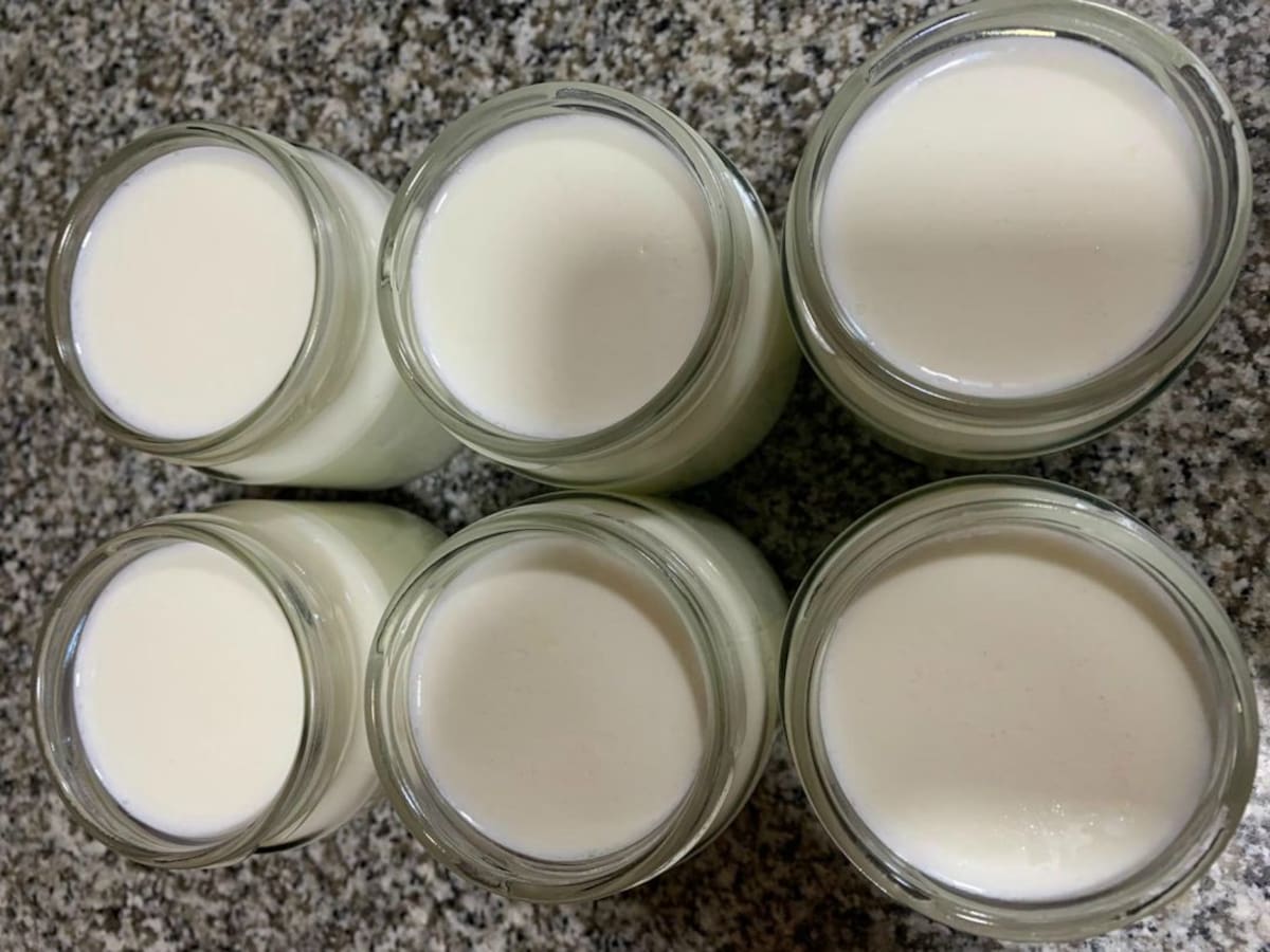 El lactosuero se convierte en una bebida proteica natural y sostenible