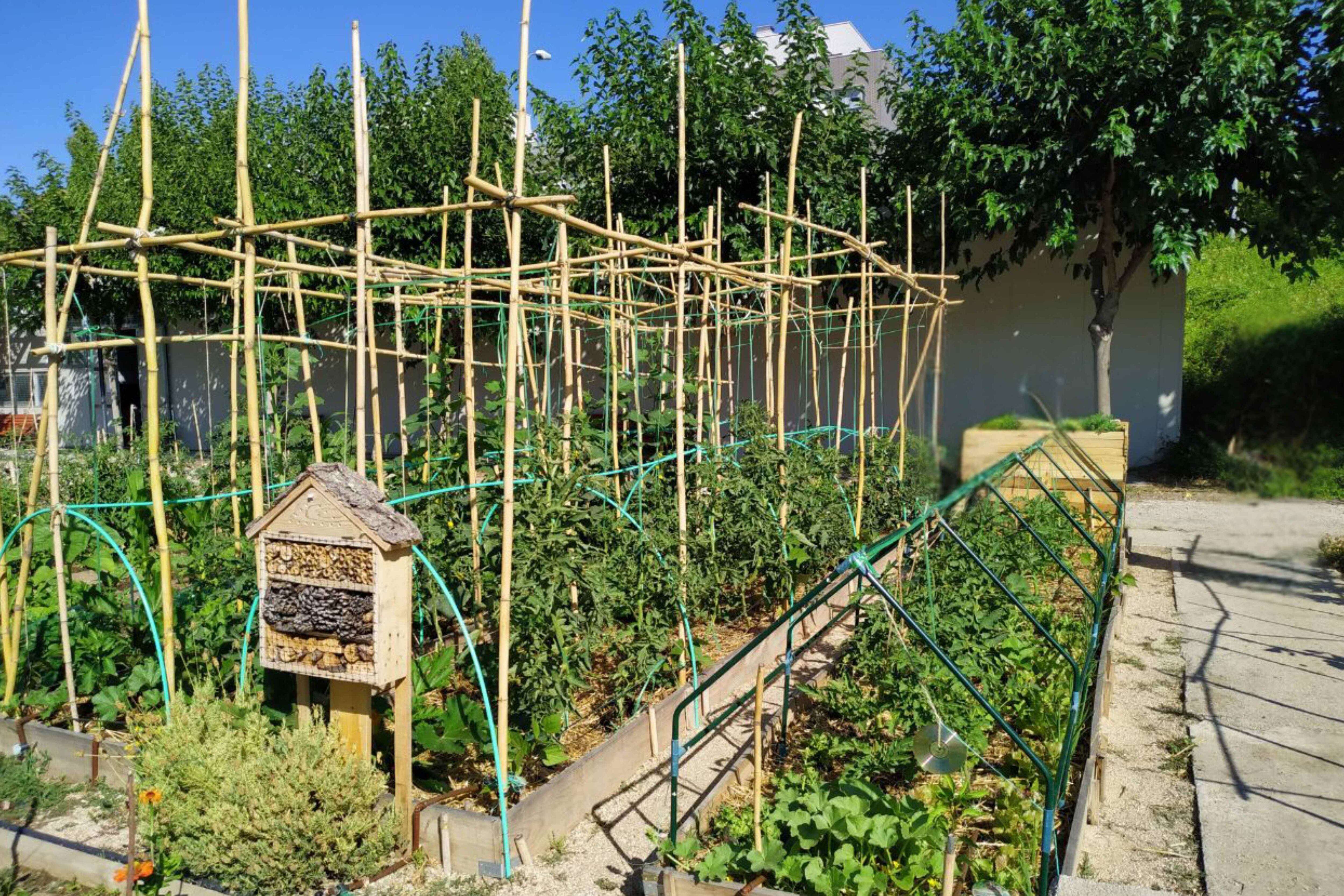 Huerto urbano de San Sebastián de los Reyes