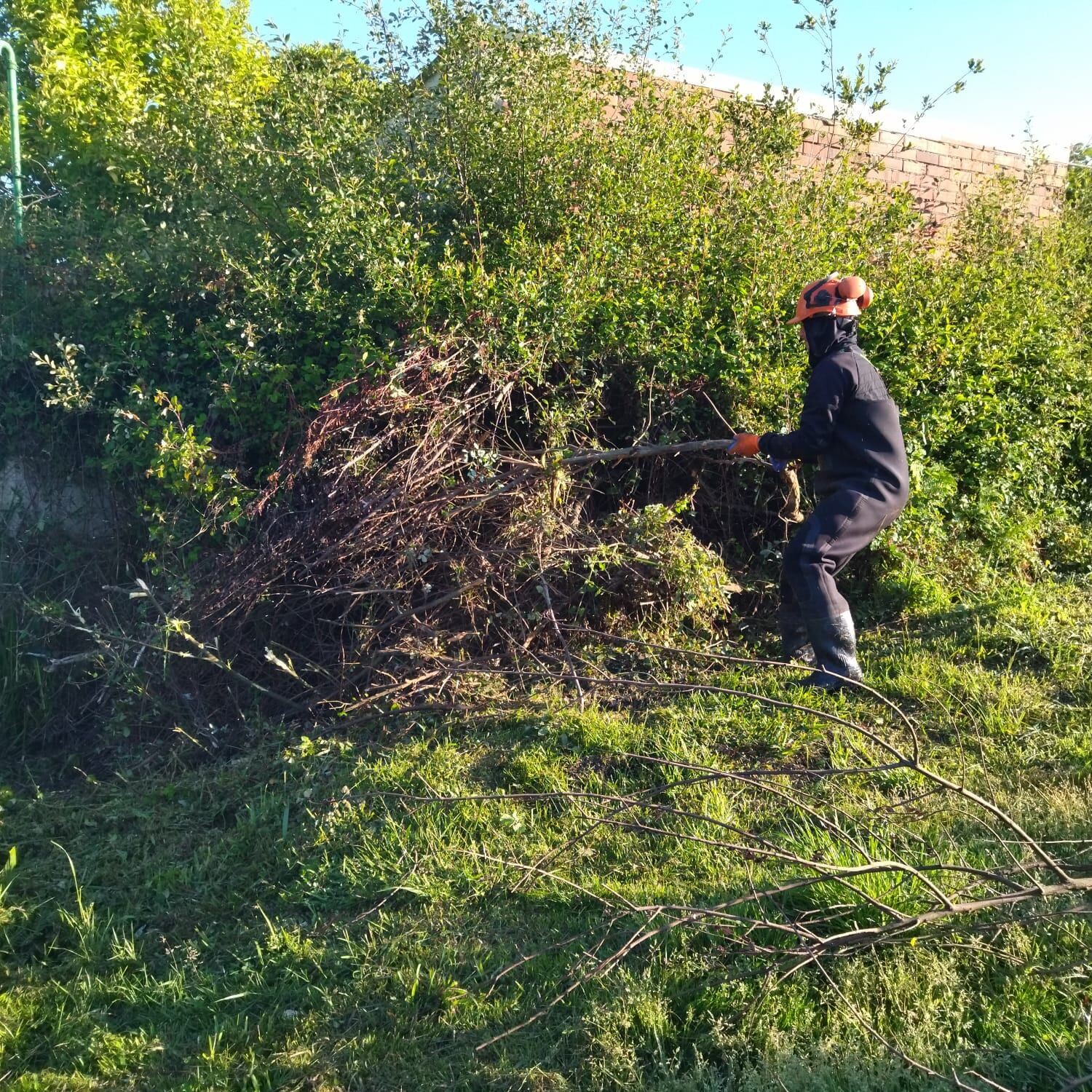 Actuaciones en los ríos ferrolanos