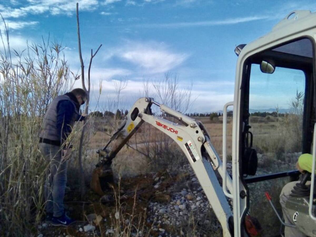 Almassora invierte 10.000 euros en repoblar la senda del Millars