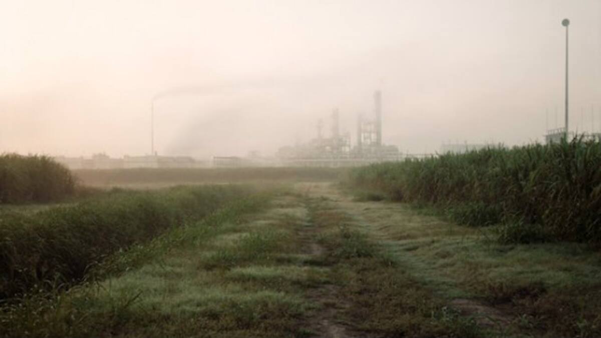 ¿Cómo será la segunda temporada de 'True Detective'?