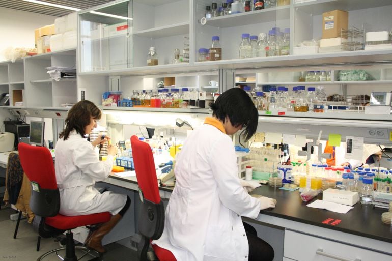 Investigadores realizando su trabajo en laboratorios