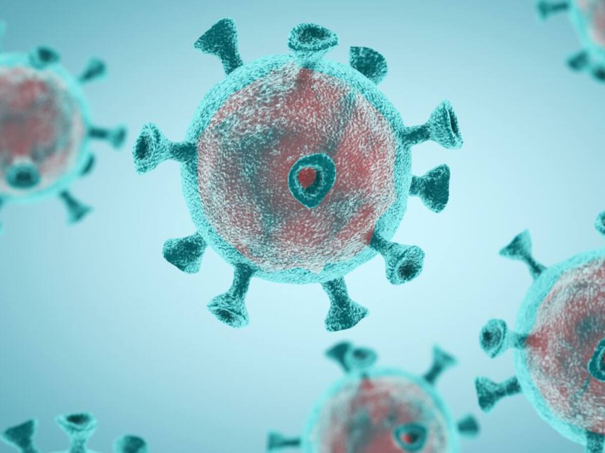 Coronavirus en Castilla y León: última hora de los afectados