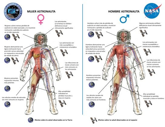 Los diferentes problemas de salud en el espacio, según el sexo del astronauta.