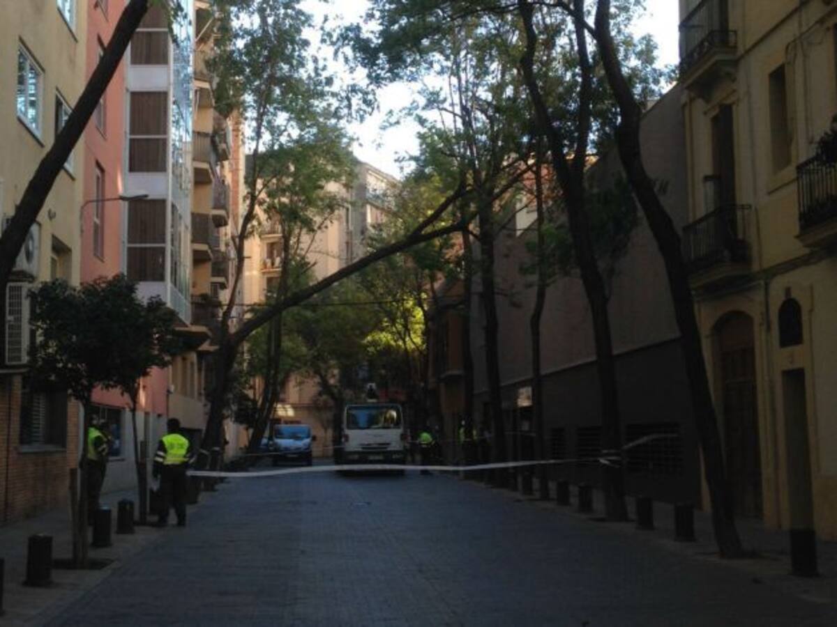 Catalunya, en alerta per vents forts