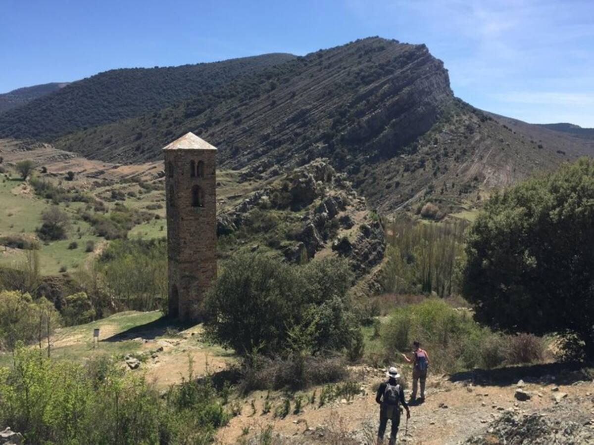 La Junta licita las mejoras de la pista Vellosillo, de acceso al monte en Yanguas
