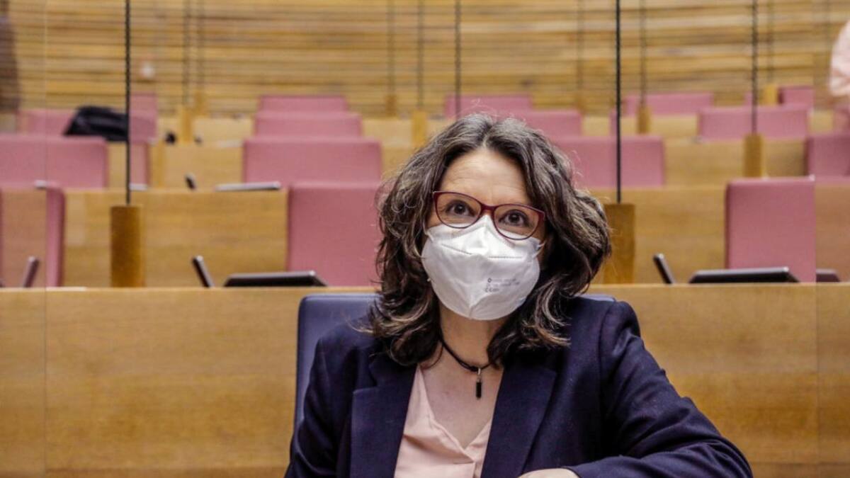 La Columna de Carlos Arcaya: «Entre las ganas a Oltra y la protección a las personas con discapacidad»