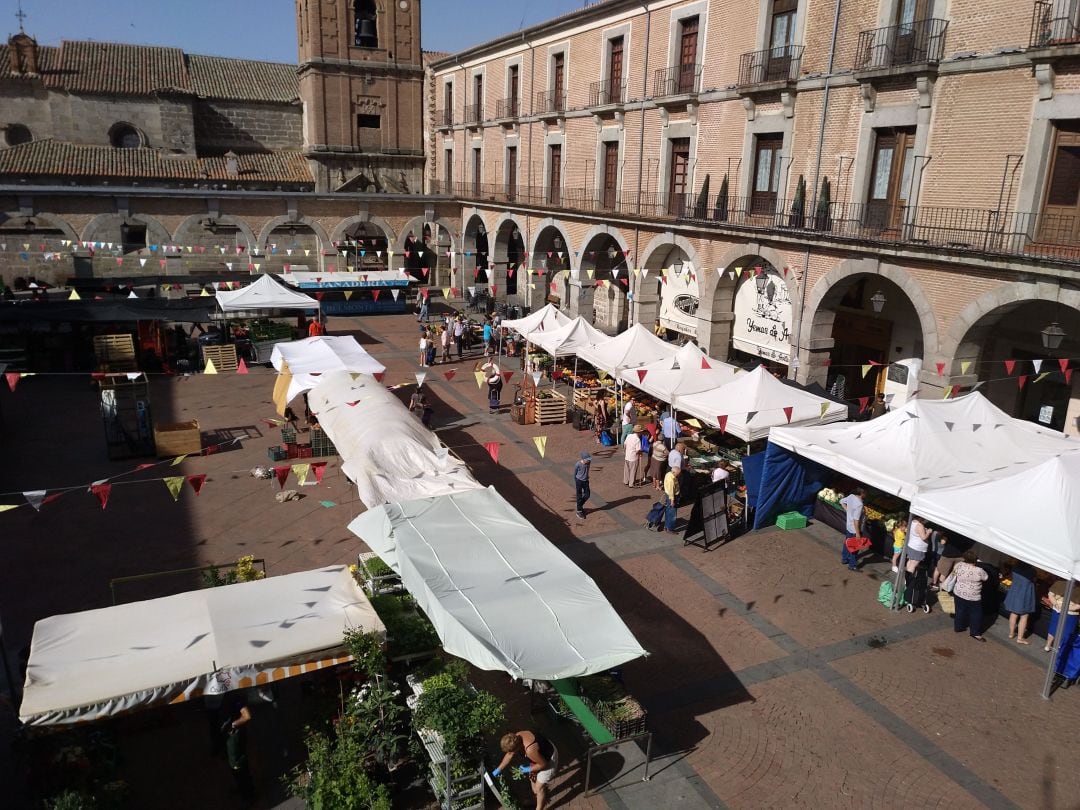 Mercadillo de frutas y verduras en el Mercado Chico (Ávila)