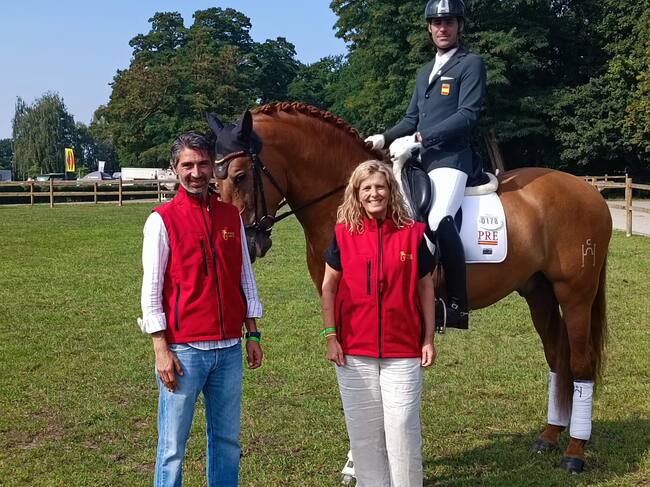 Holandés XVII ejemplar de la Yeguada Hierro del Bocado