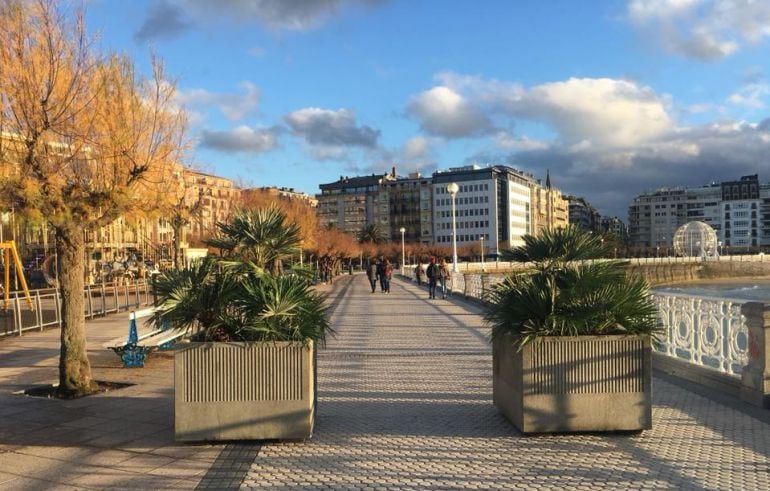 Imagen de archivo del Paseo de la Concha con dos jardineras