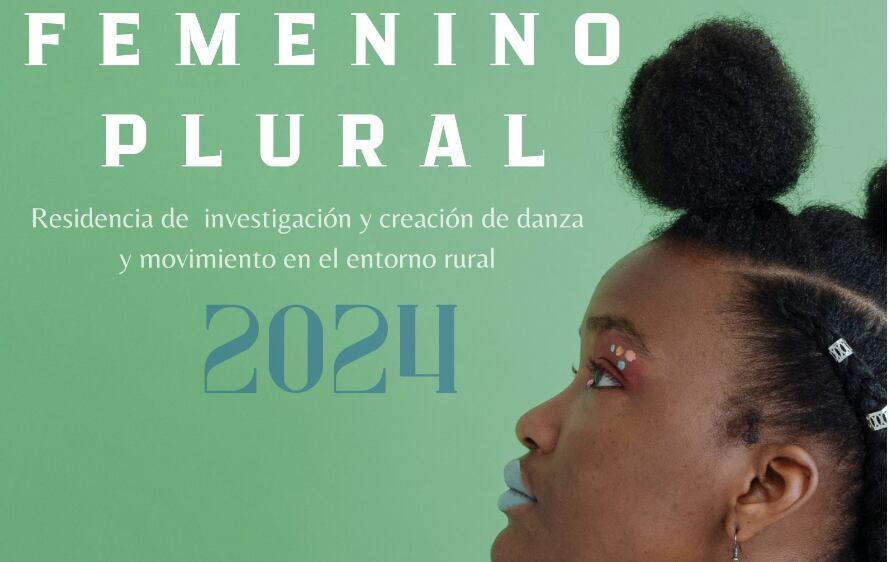 Cartel de Fermenino Plural