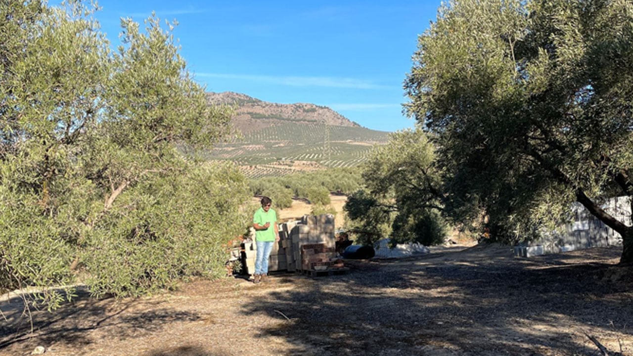 Prospecciones arqueológicas de ADIF en las cercanías de la Villa Romana de Salar (Granada)