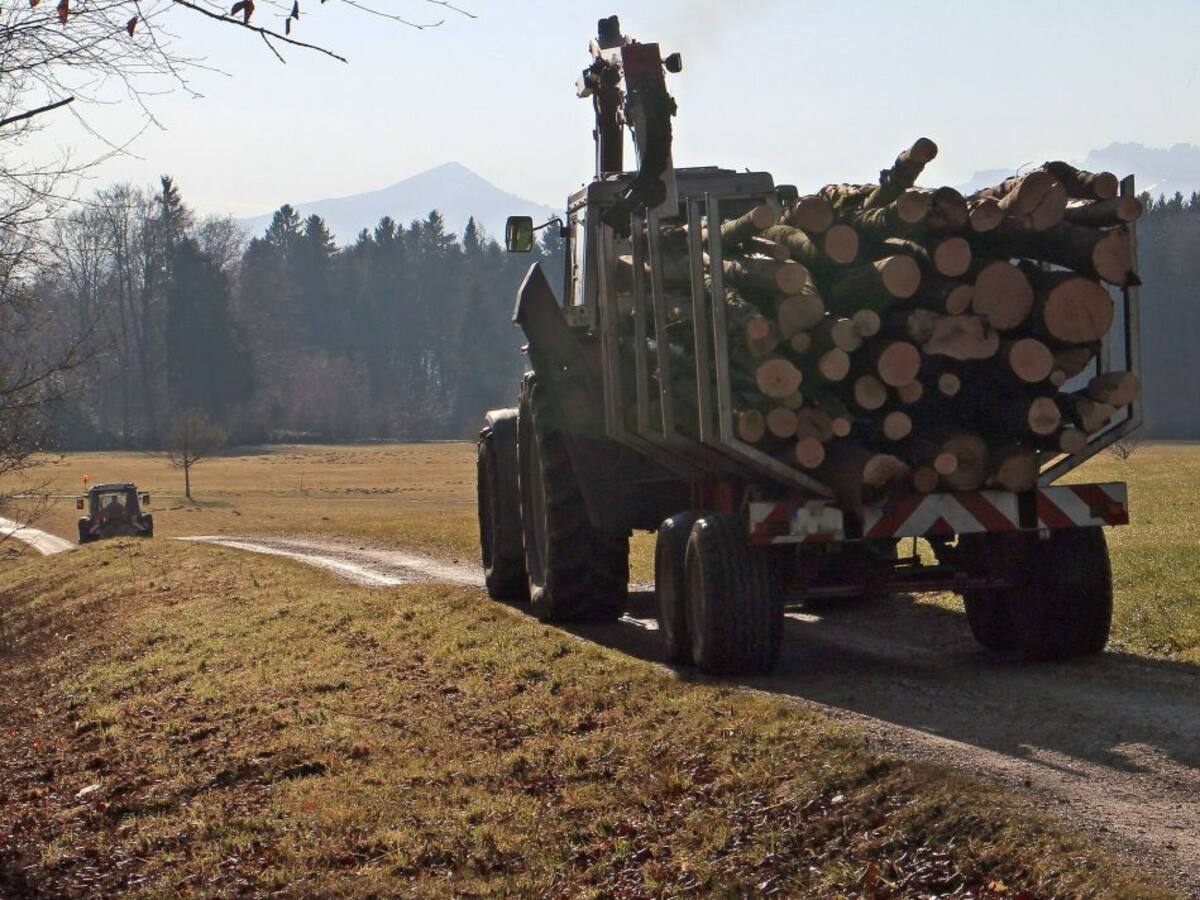 Diputación organiza un seminario en línea sobre ayudas a los montes de titularidad privada