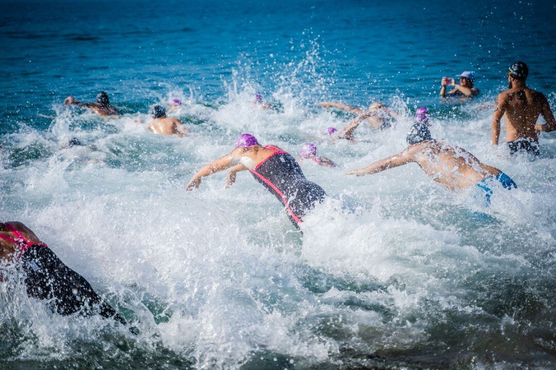 Los campeones de la natación se citan en Almería.