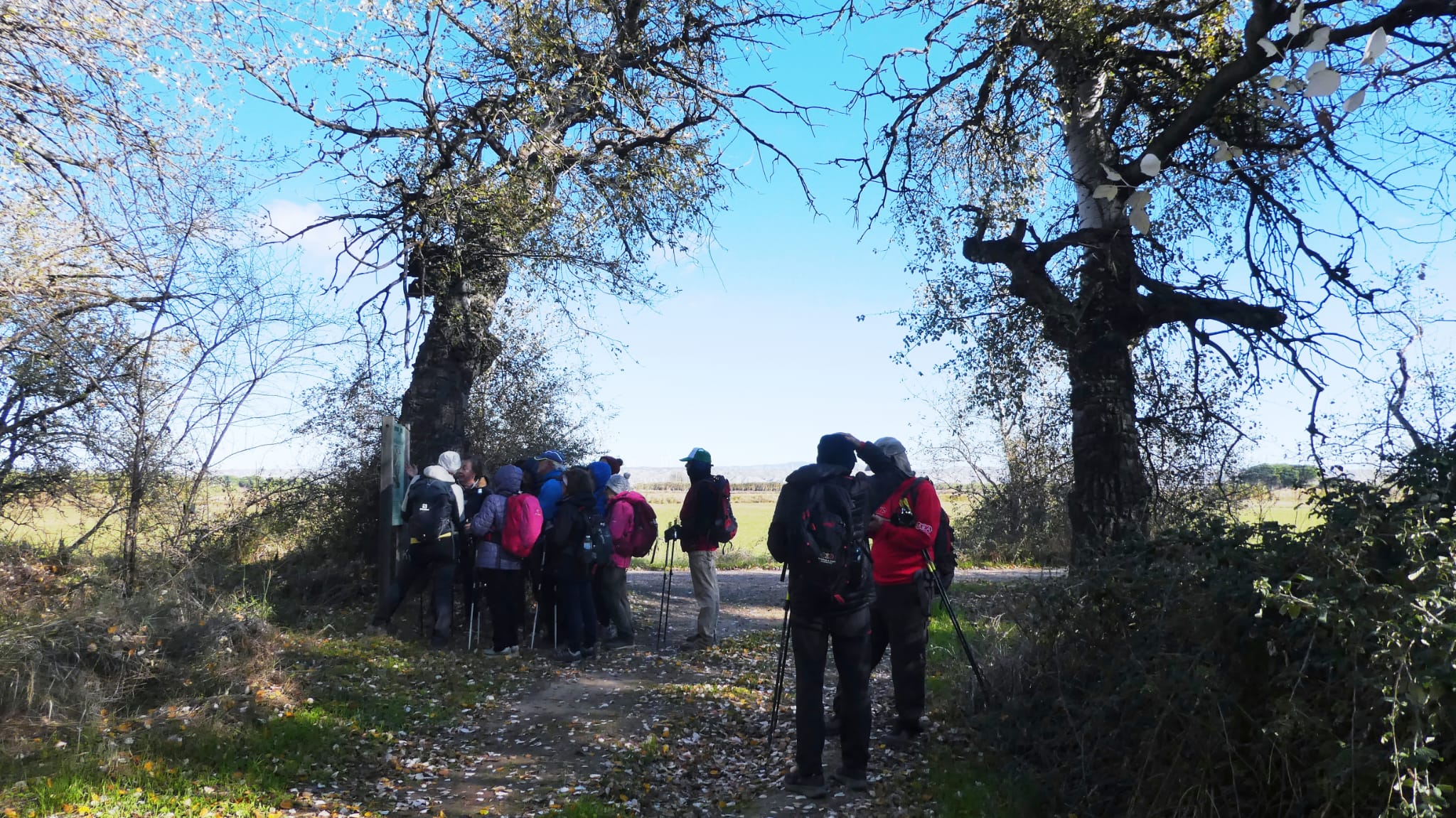 Salida Marcha nórdica. CMAB.