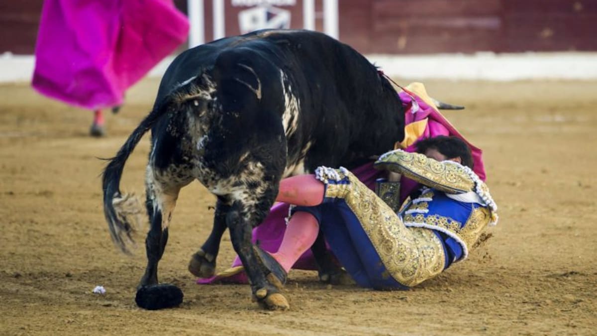 Grave cogida de Fran Rivera en Huesca