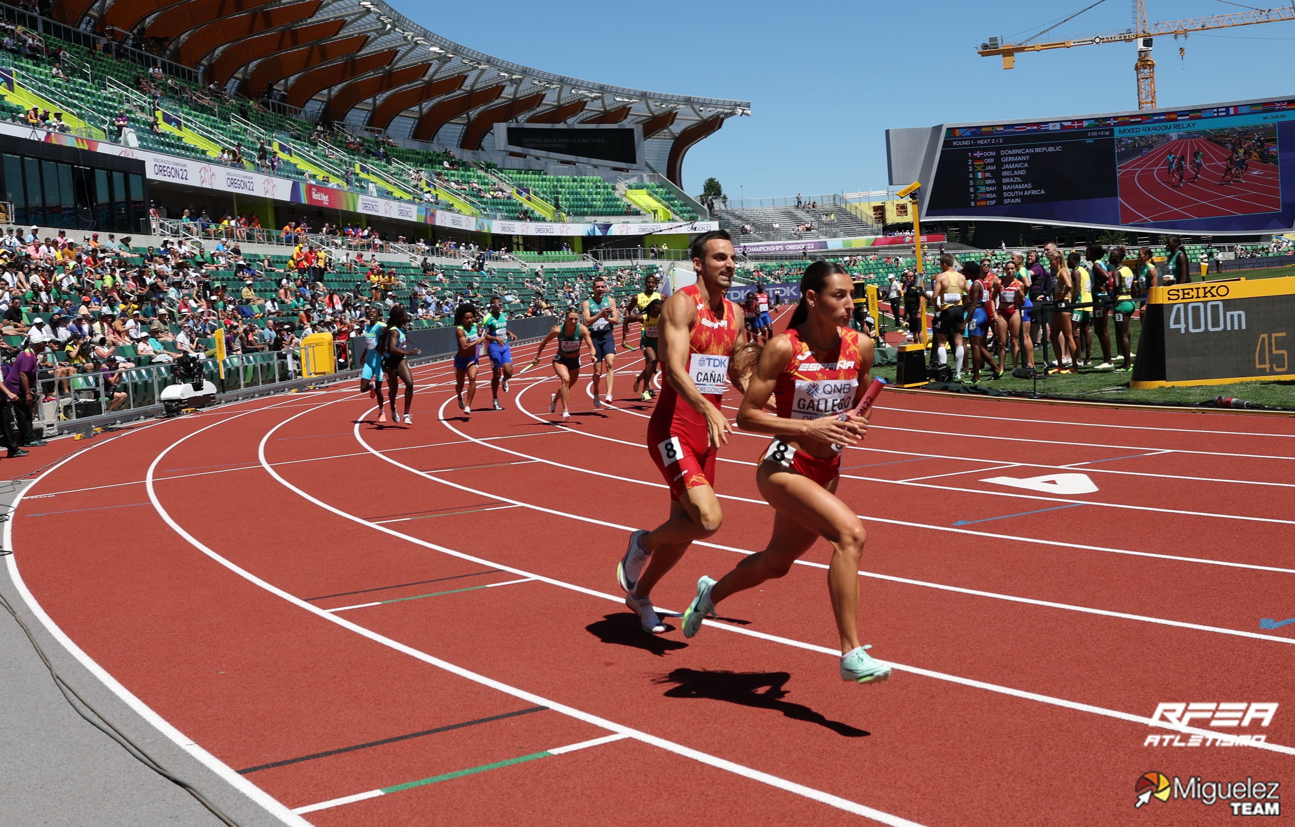 Cuatro leoneses estarán con España en el Campeonato de Europa de Atletismo