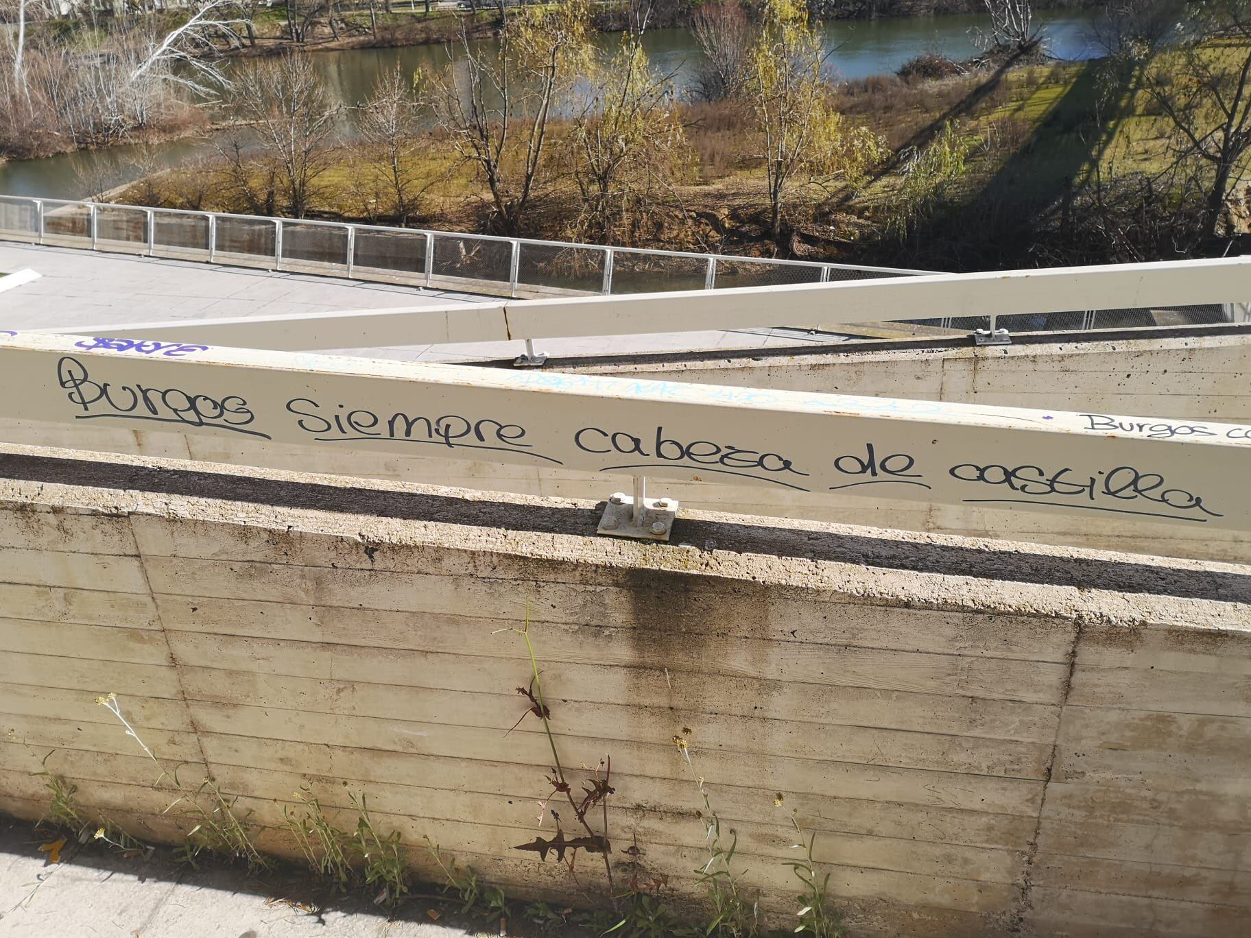 Pintada descubierta en los alrededores del Museo de la Ciencia de Valladolid