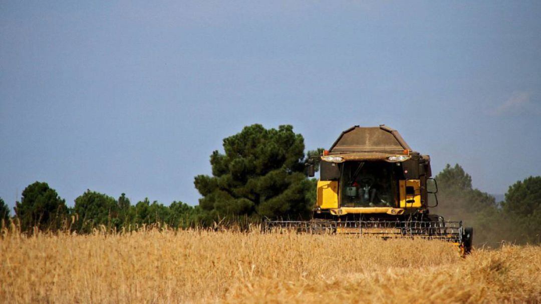 Los agricultores palentinos con cultura de seguros agrarios