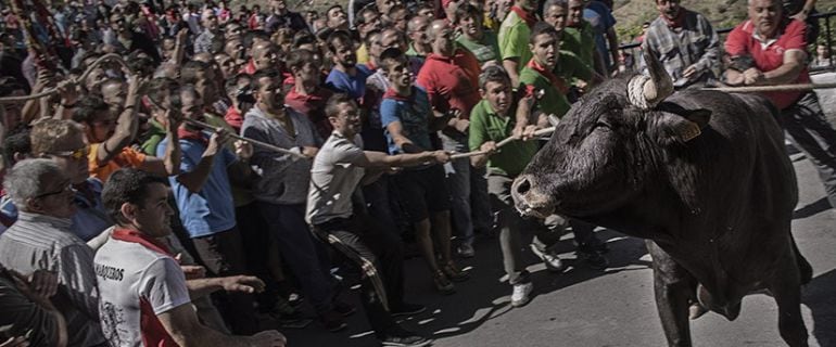 Fotografía promocional del documental &#039;Santa fiesta&#039;.