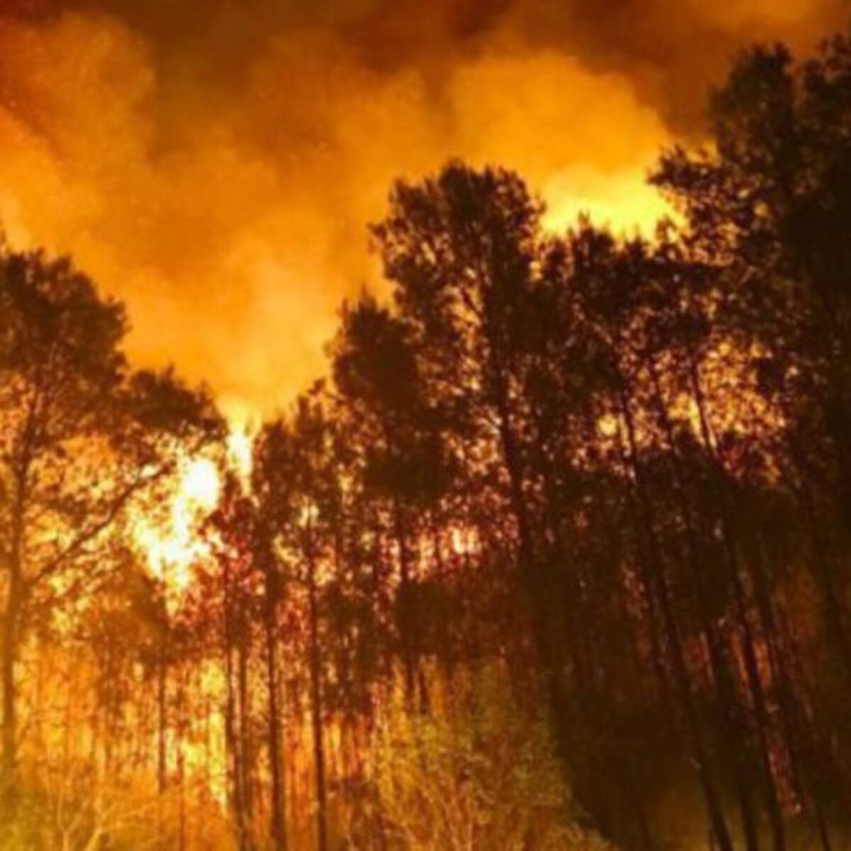 La Guardia Civil sigue sin detener a los responsables del incendio de Artana, tres años después del suceso