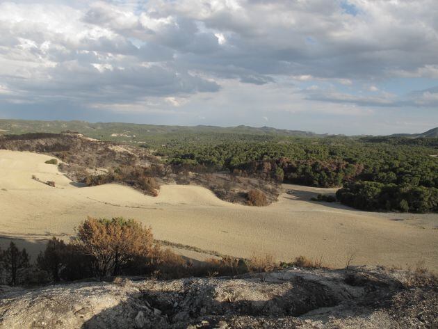 El fuego declarado en Perdiguera entró en zona arbolada