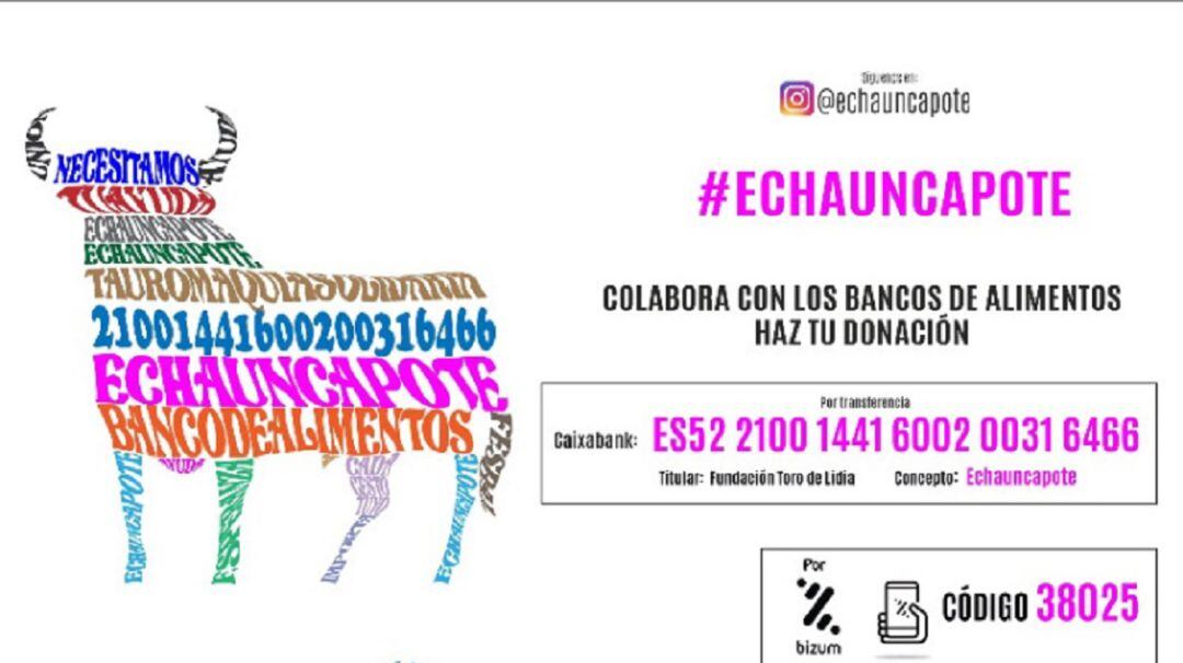 Cartel de la campaña #Echauncapote