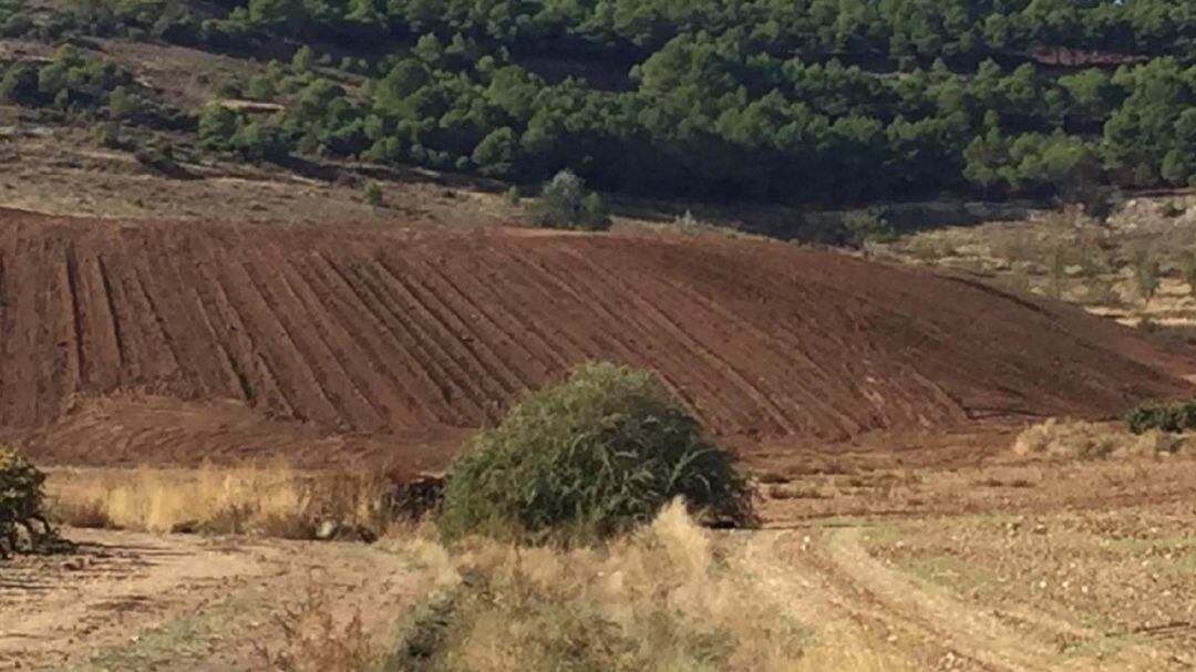 La escombrera ha sido sellada definitivamente.