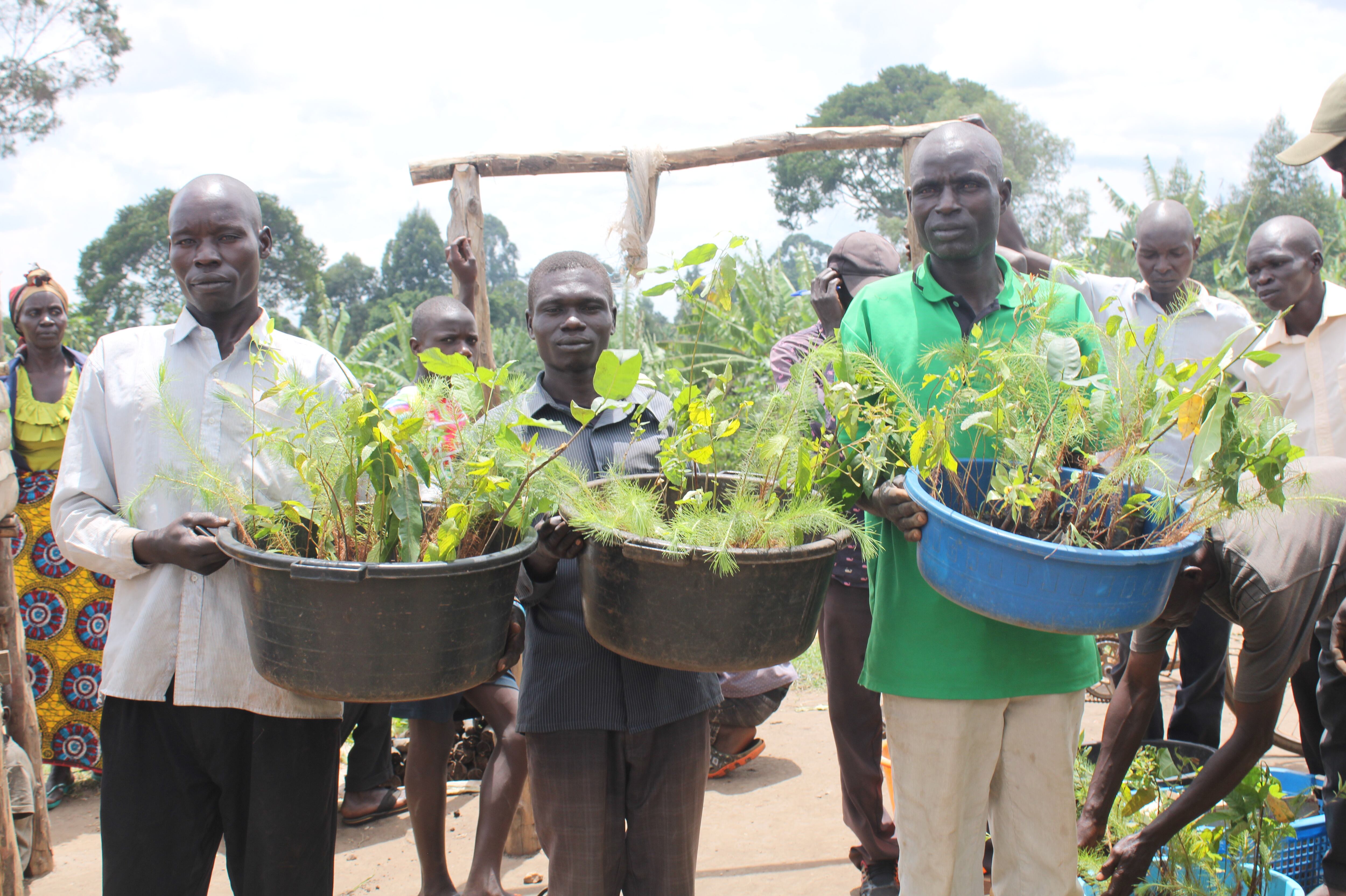 Gracias a la colaboración burgalesa a través del Ayuntamiento, se ha reducido el hambre y la pobreza extrema de los pequeños agricultores de Uganda.