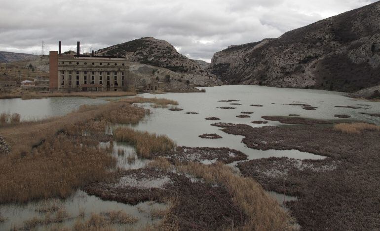 La vegetación lacustre avanza hacia el esqueleto de la antigua central