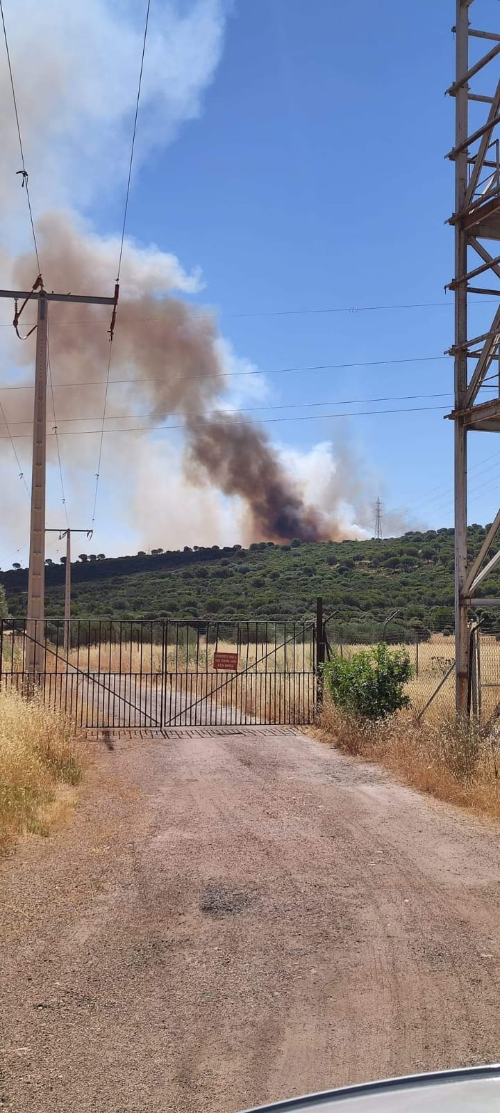 Fuego en las inmediaciones de la Dehesa Boyal de Puertollano