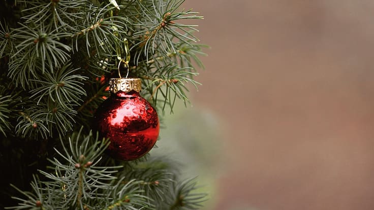 Fernando Luis Fontes, director del MUNCYT de Alcobendas, habla de la programación de Navidad en el museo