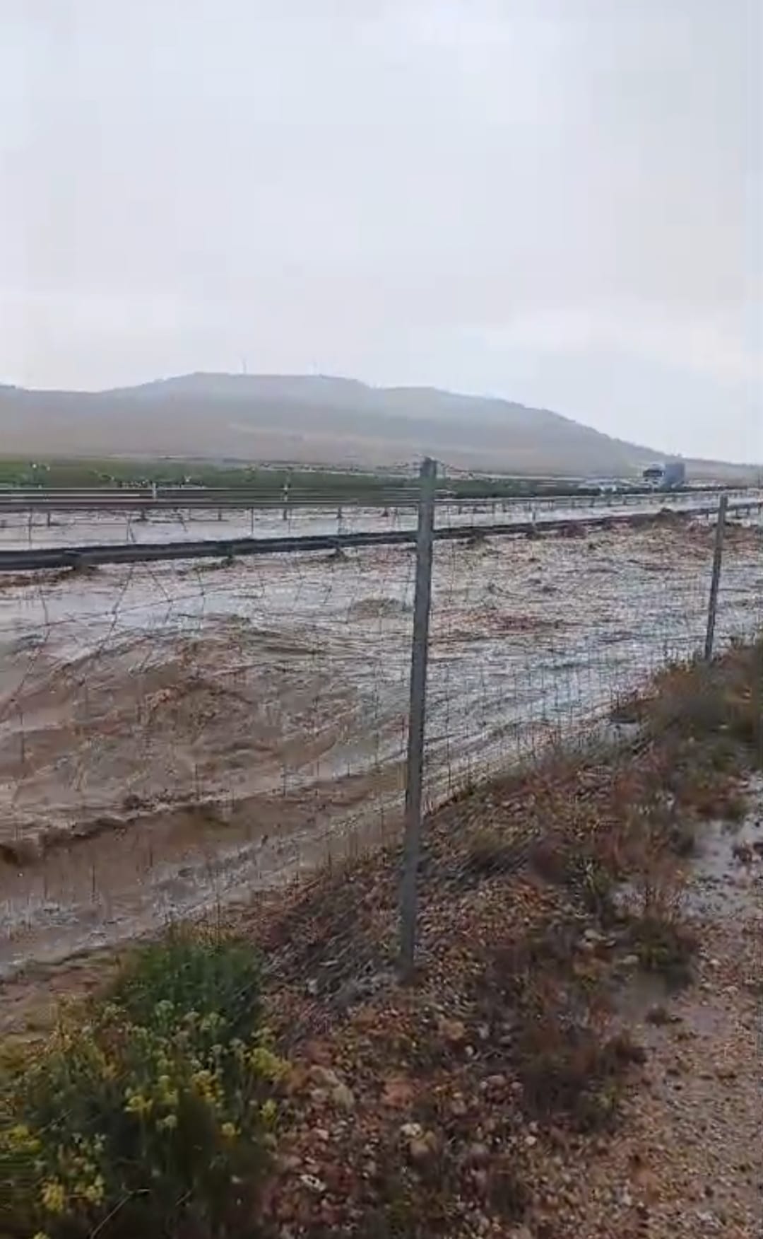 Riadas en la autovía, a la altura de La Encina