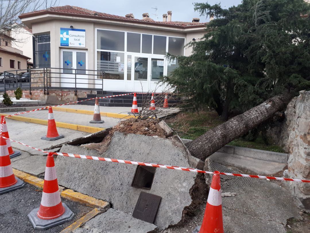 Árbol arrancado junto al consultorio de la localidad