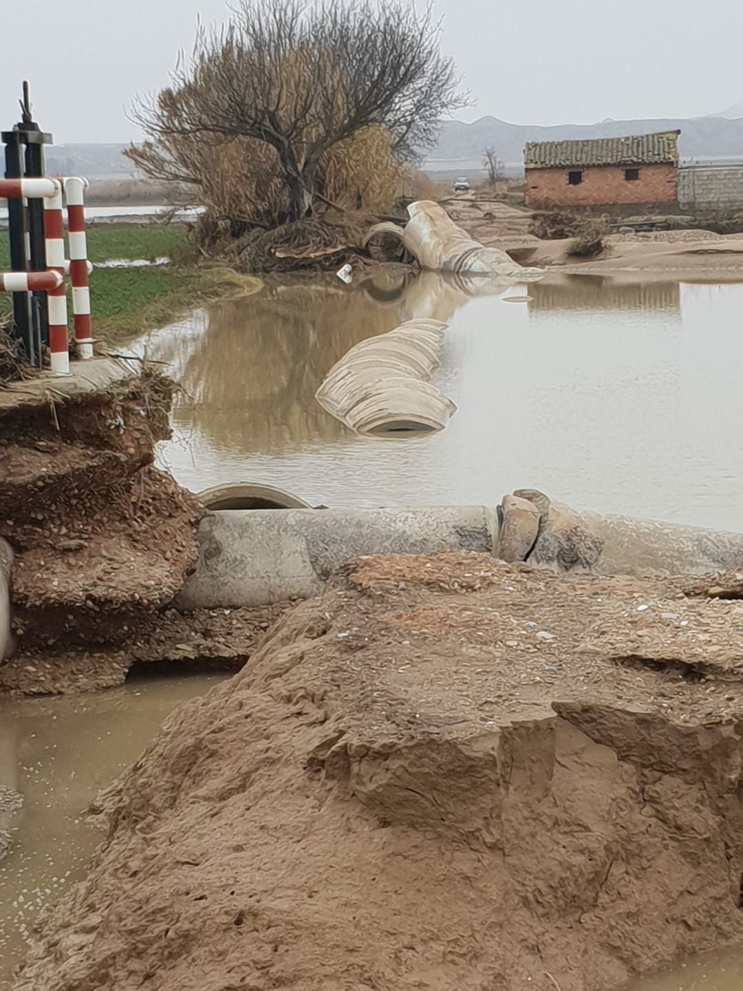 Agricultores y ganaderos de la ribera del Ebro sacan la calculadora para conocer cuánto dinero han perdido tras la crecida extraordinaria