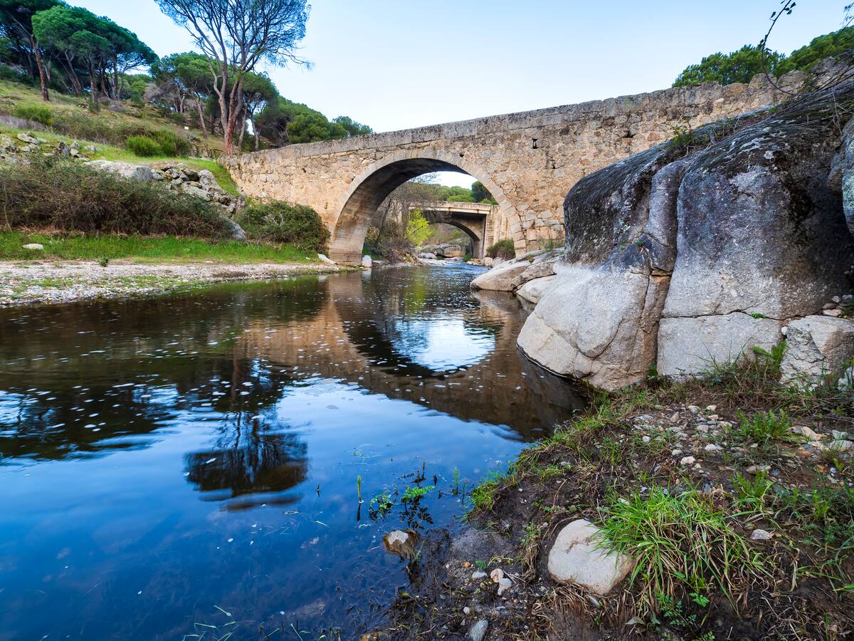 La Confederación Hidrográfica del Tajo trabaja en la recuperación ambiental de las zonas afectadas por los incendios