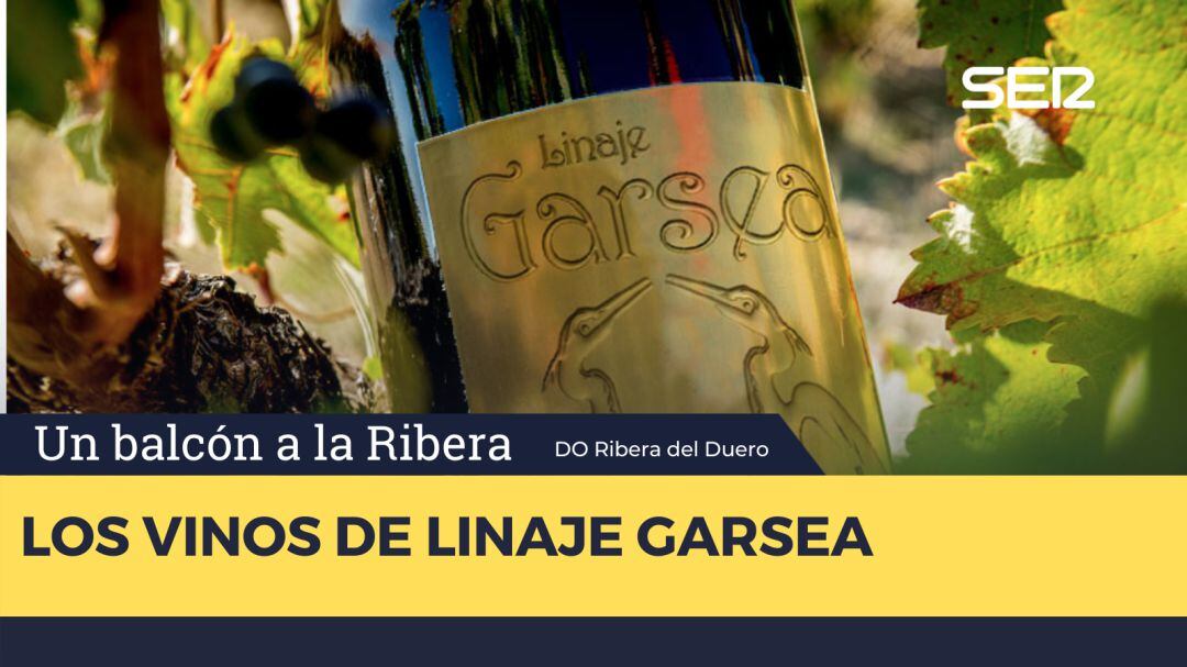 Linaje Garsea