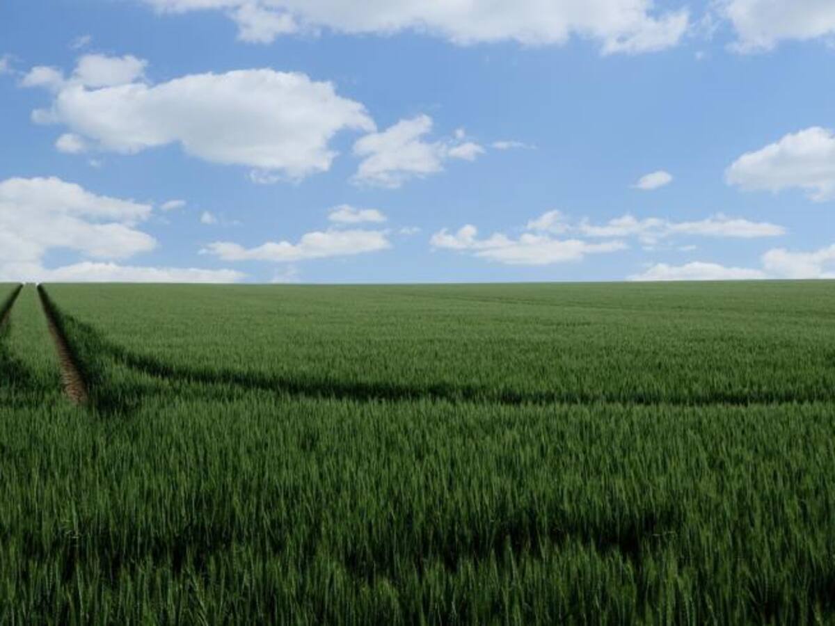 Agricultura abona el anticipo de la PAC con más de 217 millones de euros