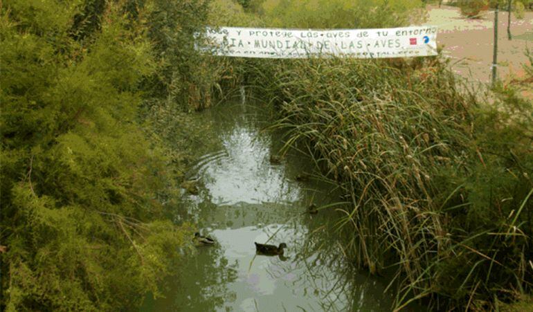 El parque de Polvoranca hace que Leganés sea una de las ciudades con más zonas urbanas naturales de España