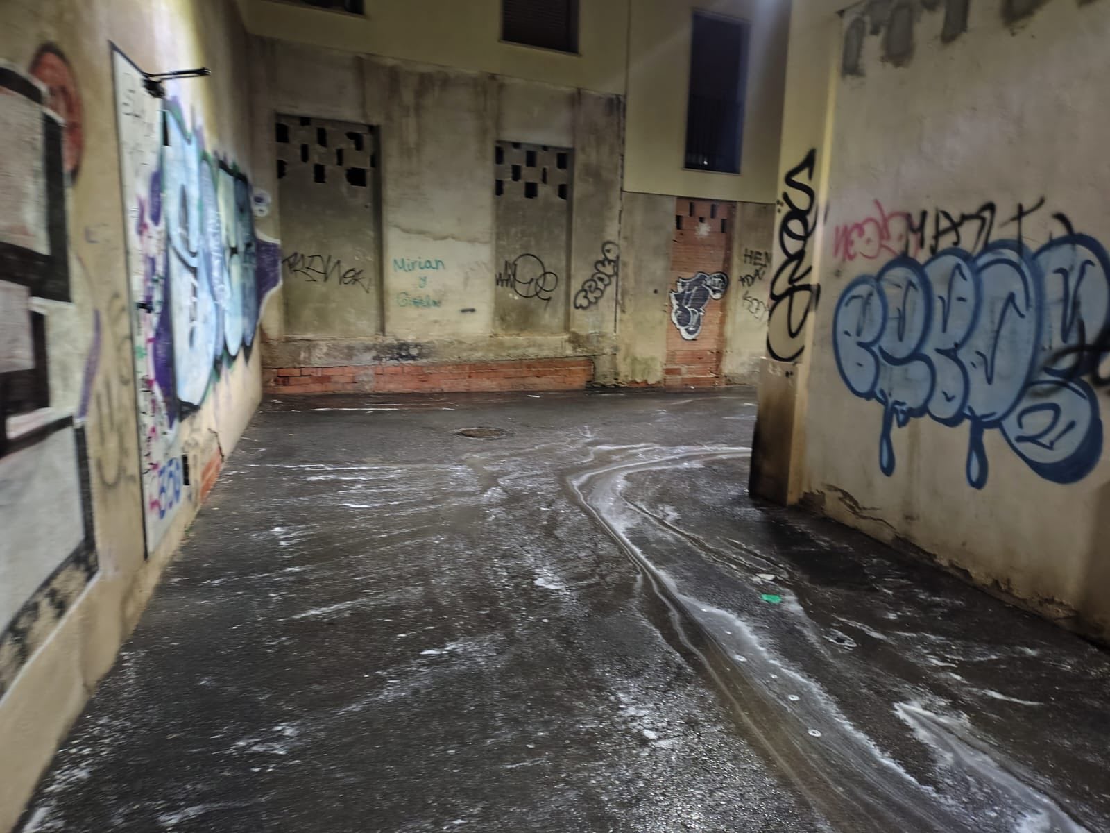 Limpieza en la zona centro