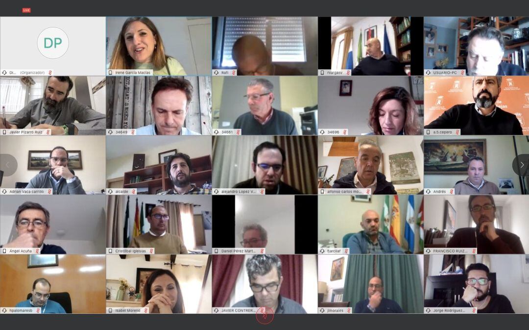 Videoconferencia de la presidenta de Diputación, Irene García