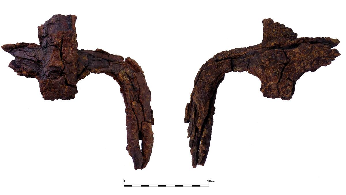 El arado de Piecordero, un hallazgo excepcional en Cascante para entender la agricultura