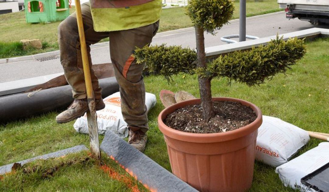 El Ayuntamiento de Blanca incorpora a 5 desempleados a tres proyectos de Empleo Público Local