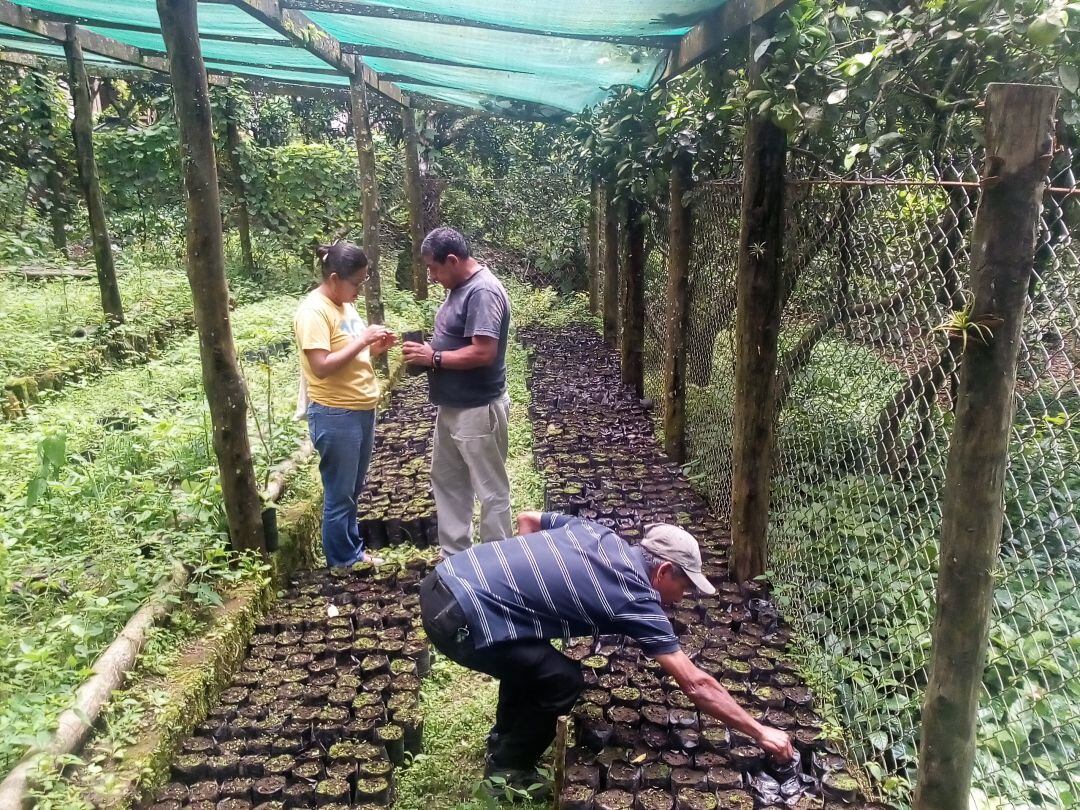 El projecte de cooperació del Fons inclou la creació d'horts d'autoconsum a diversos països d'Amèrica Central.