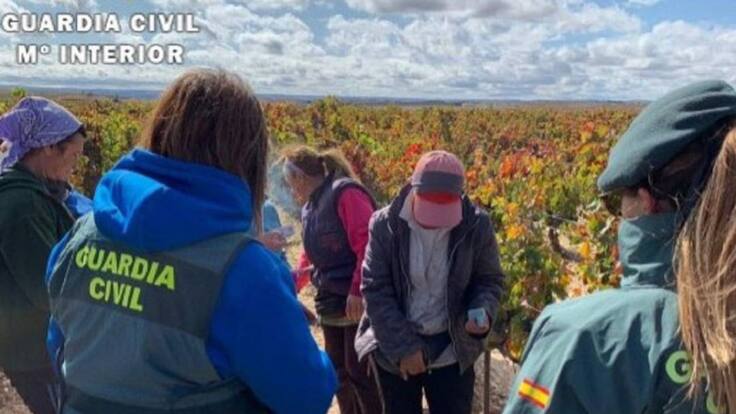 Entrevista a Pedro Luis de la Fuente, subdelegado del Gobierno en Burgos, sobre la seguridad de la campaña de vendimia 2020 y las condiciones sociolaborales de los temporeros