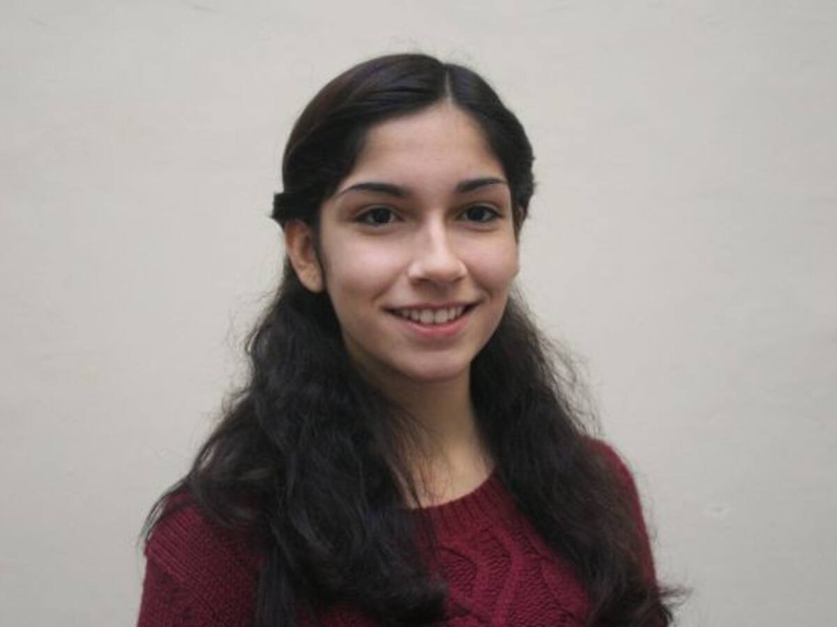 Aspirantes a diosa del Carnaval 2016