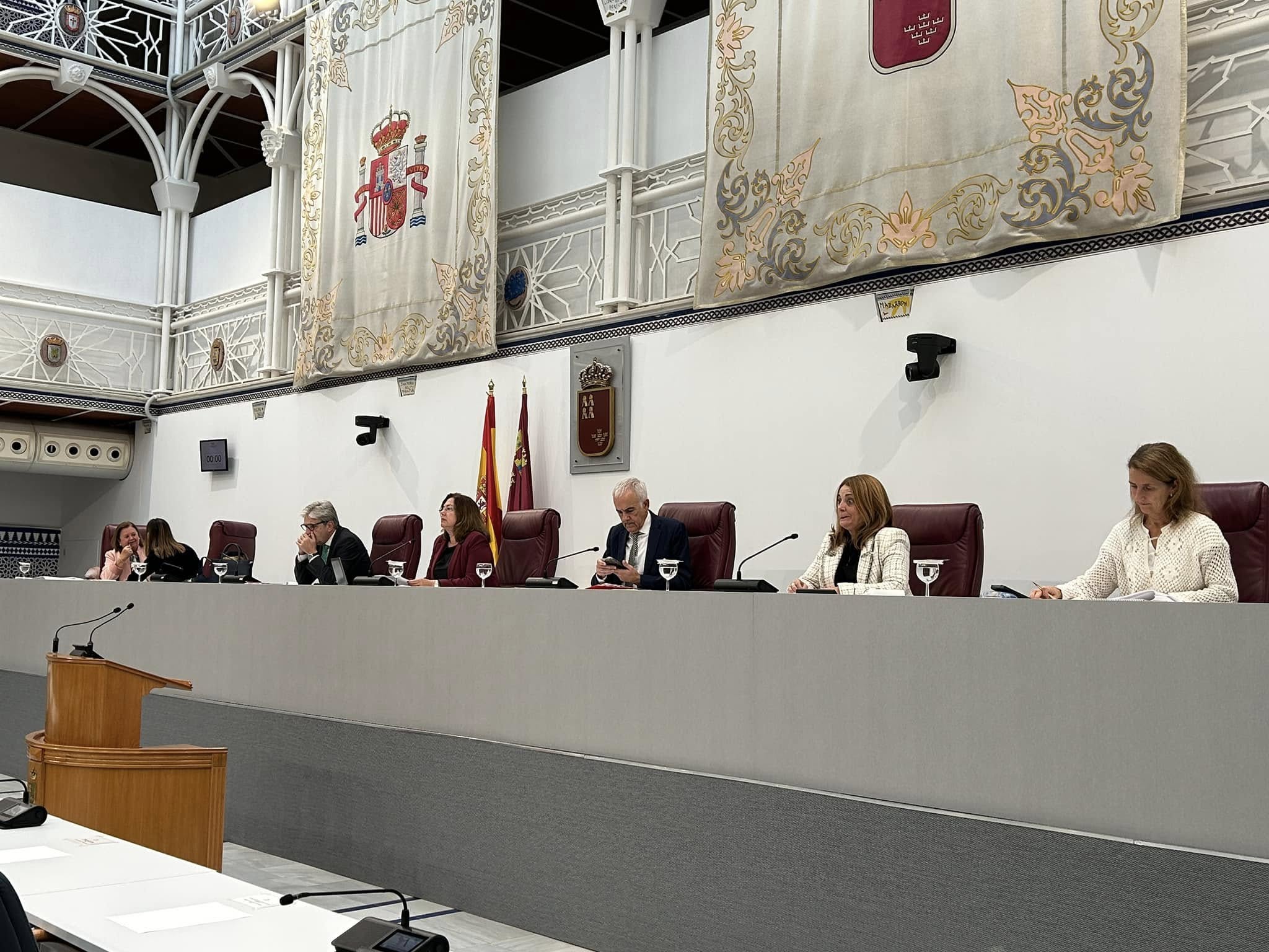 Pleno de la Asamblea Regional